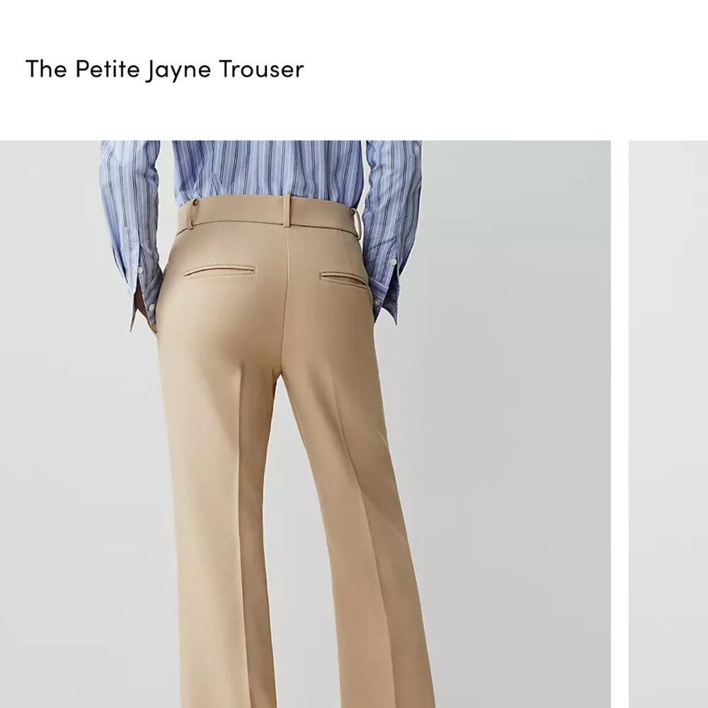 Ann Taylor Beige Trousers